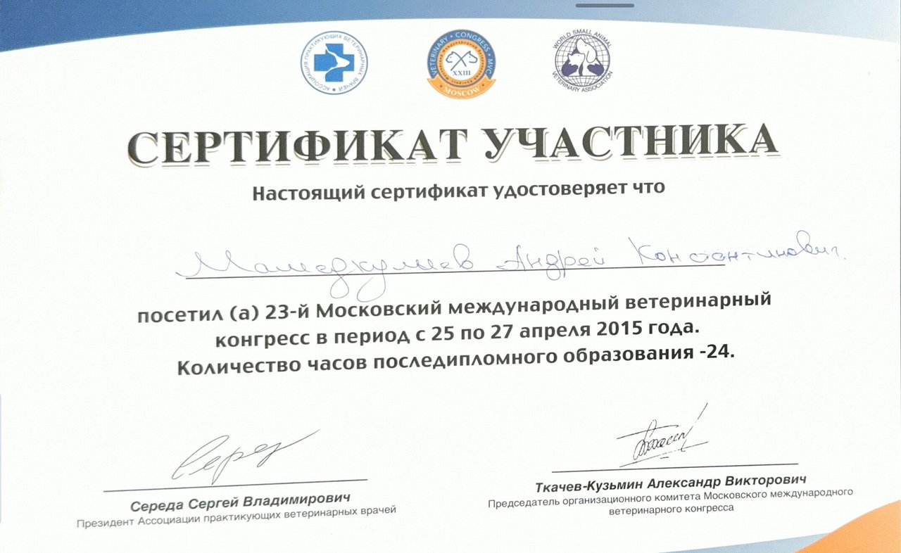 Документ или сертификат