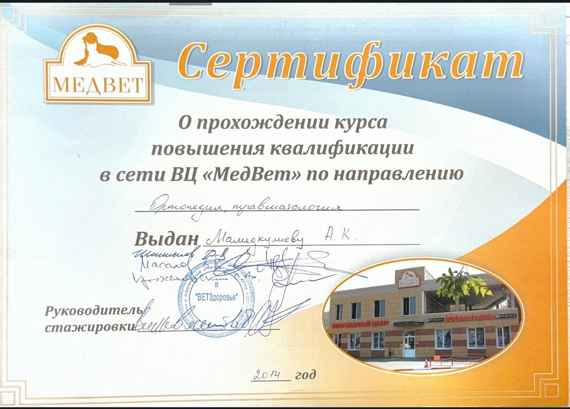 Документ или сертификат