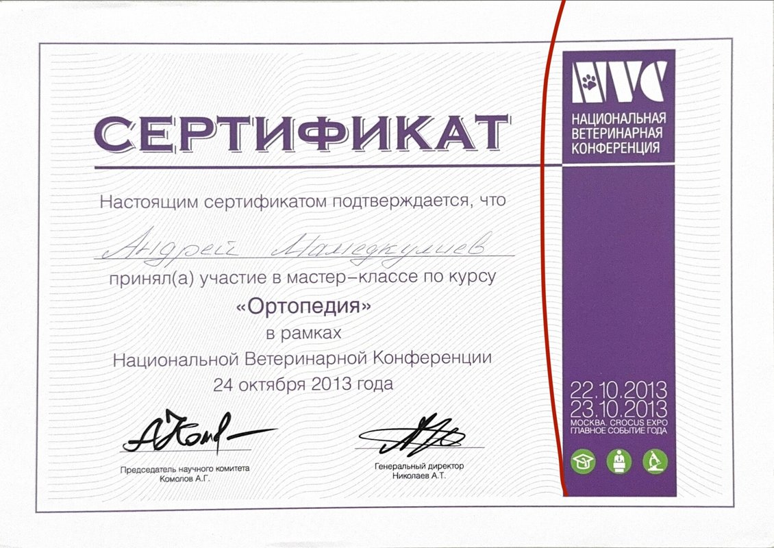 Документ или сертификат
