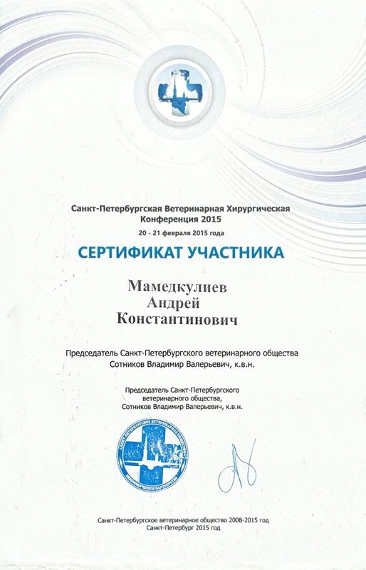 Документ или сертификат