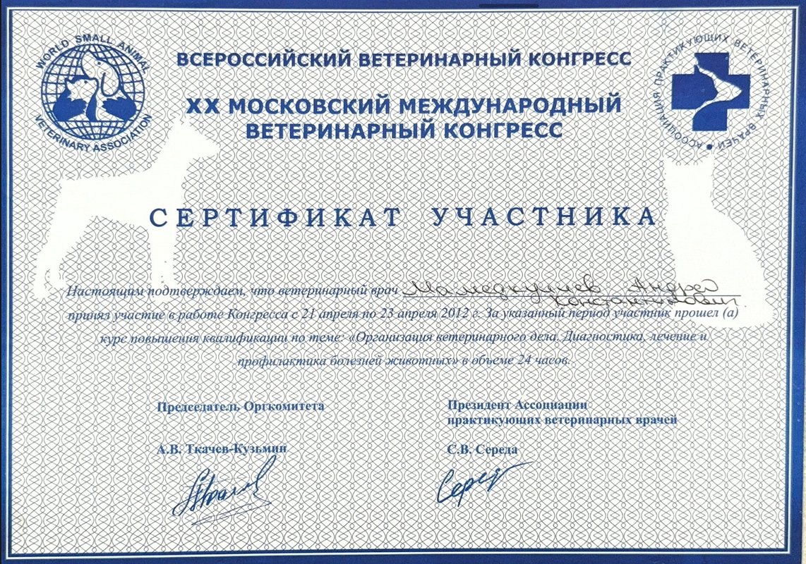 Документ или сертификат