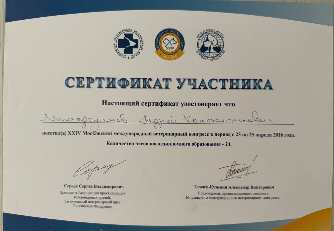 Документ или сертификат