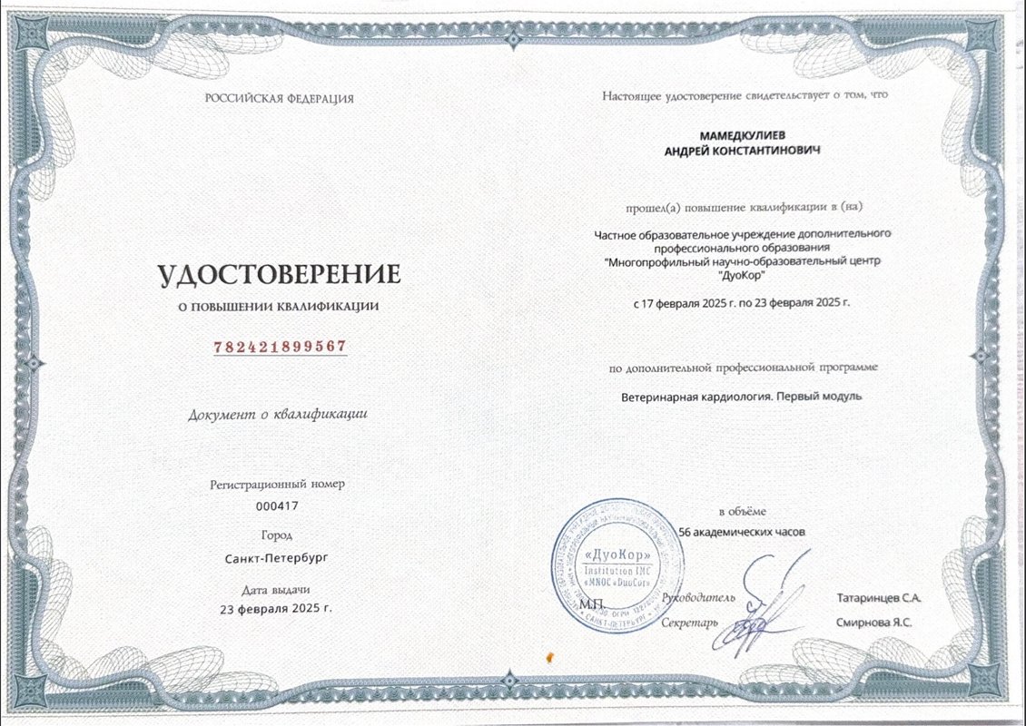 Документ или сертификат