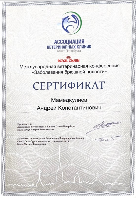 Документ или сертификат