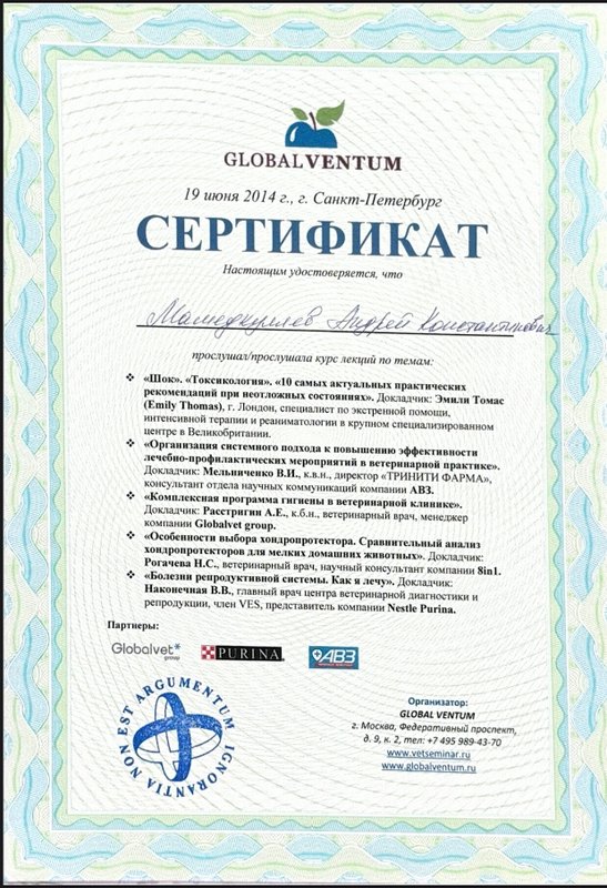 Документ или сертификат