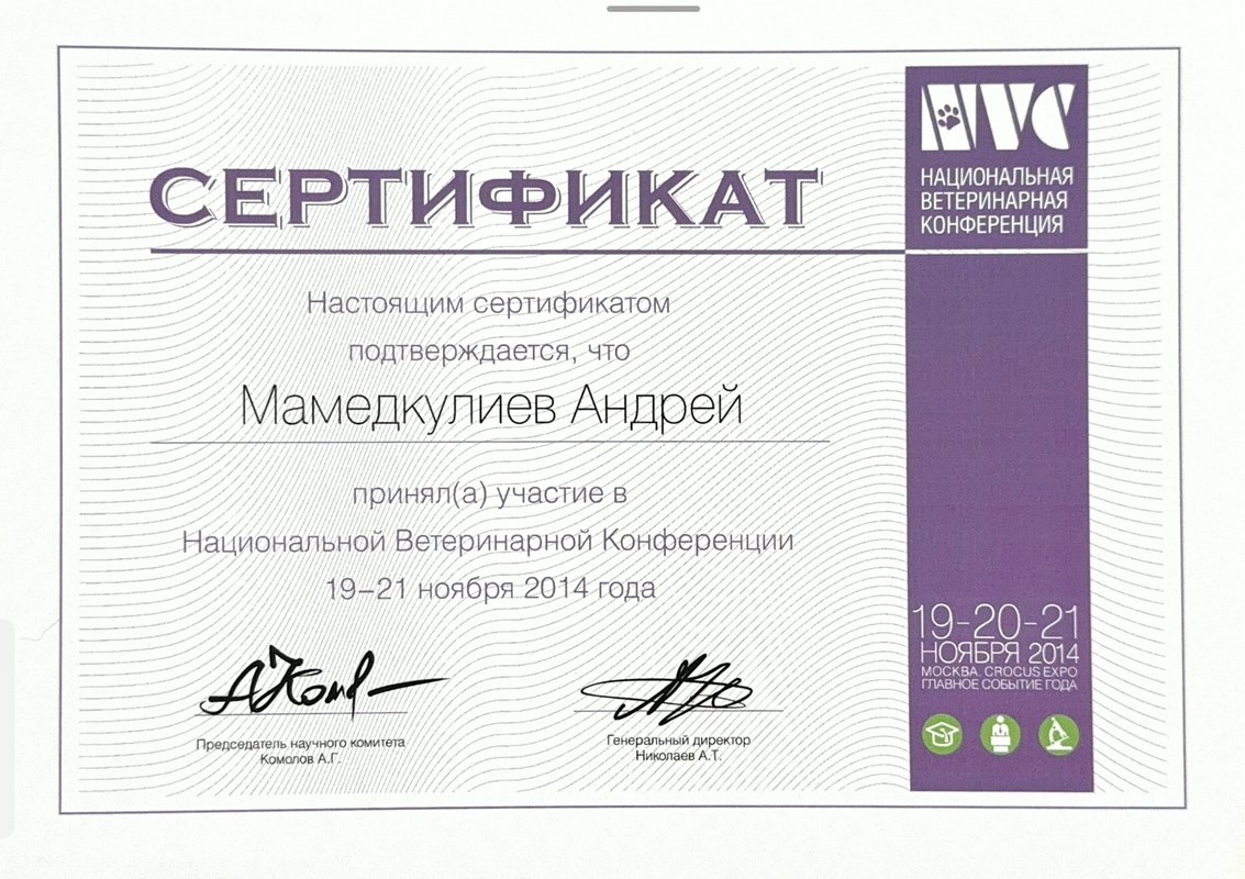 Документ или сертификат