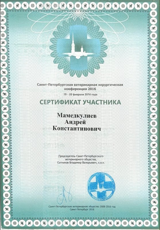Документ или сертификат