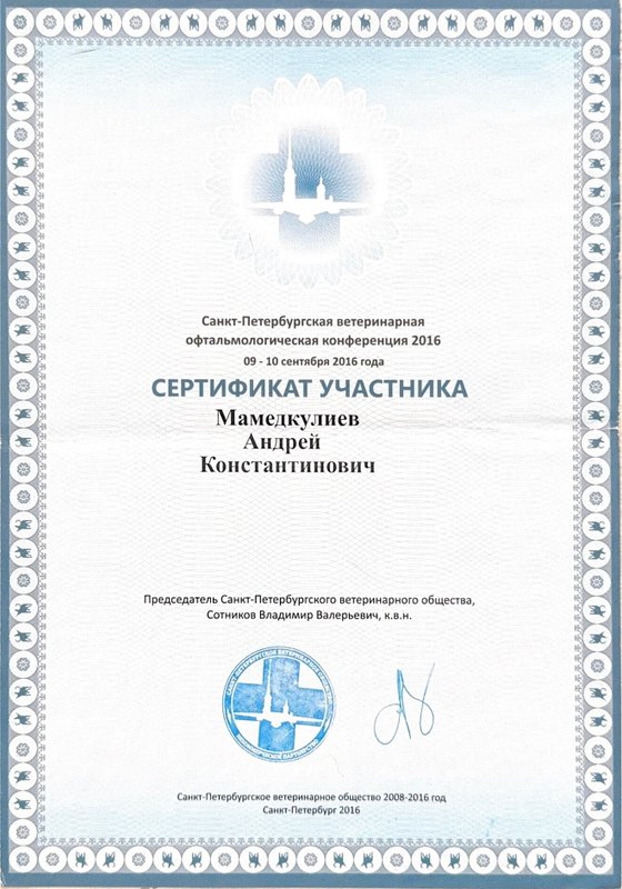 Документ или сертификат