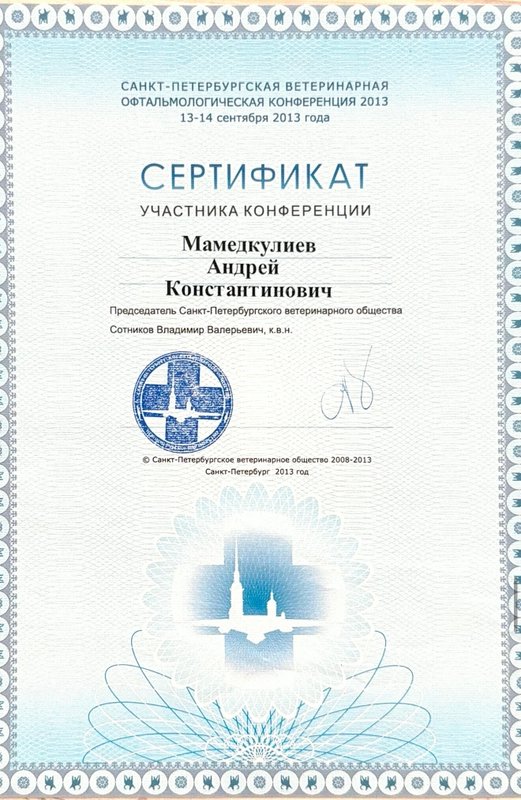 Документ или сертификат