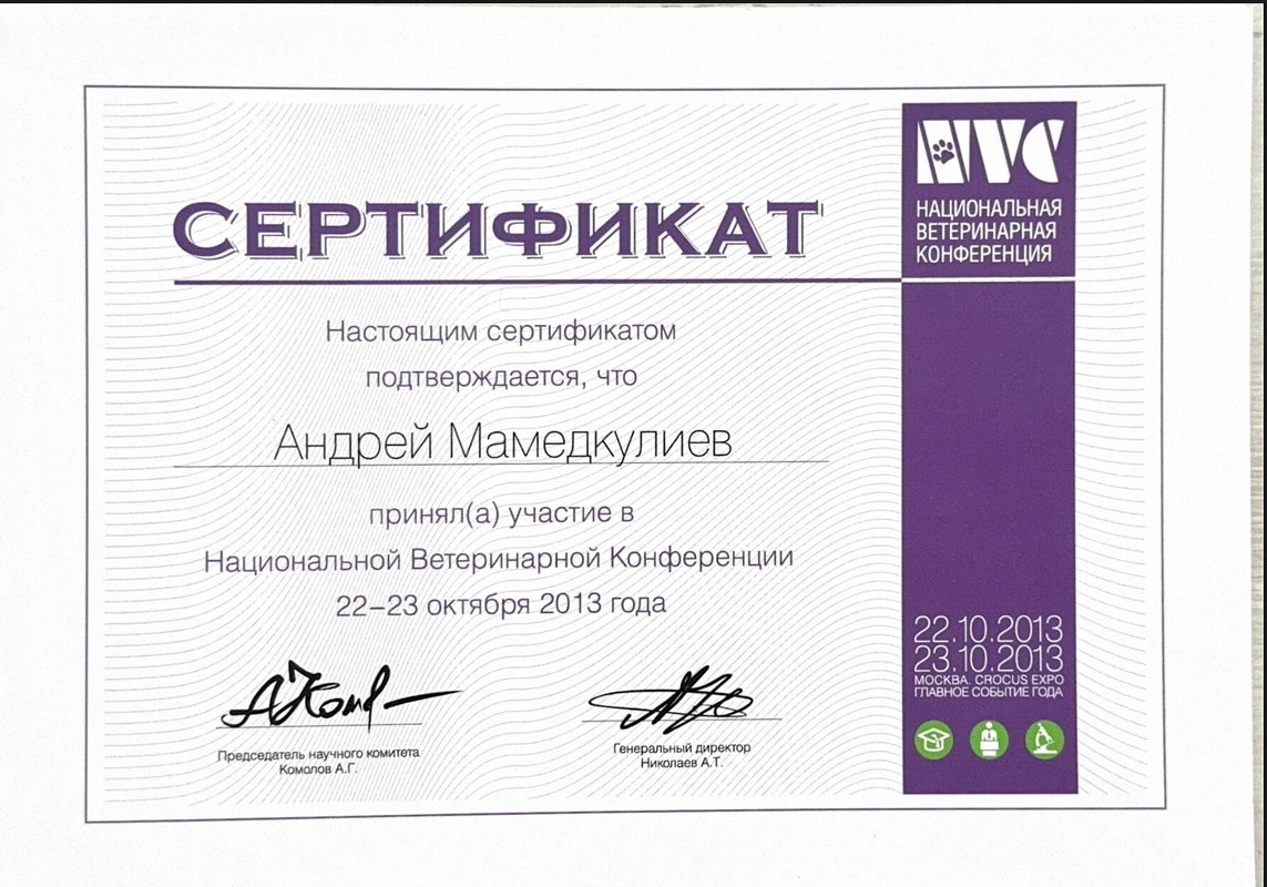 Документ или сертификат