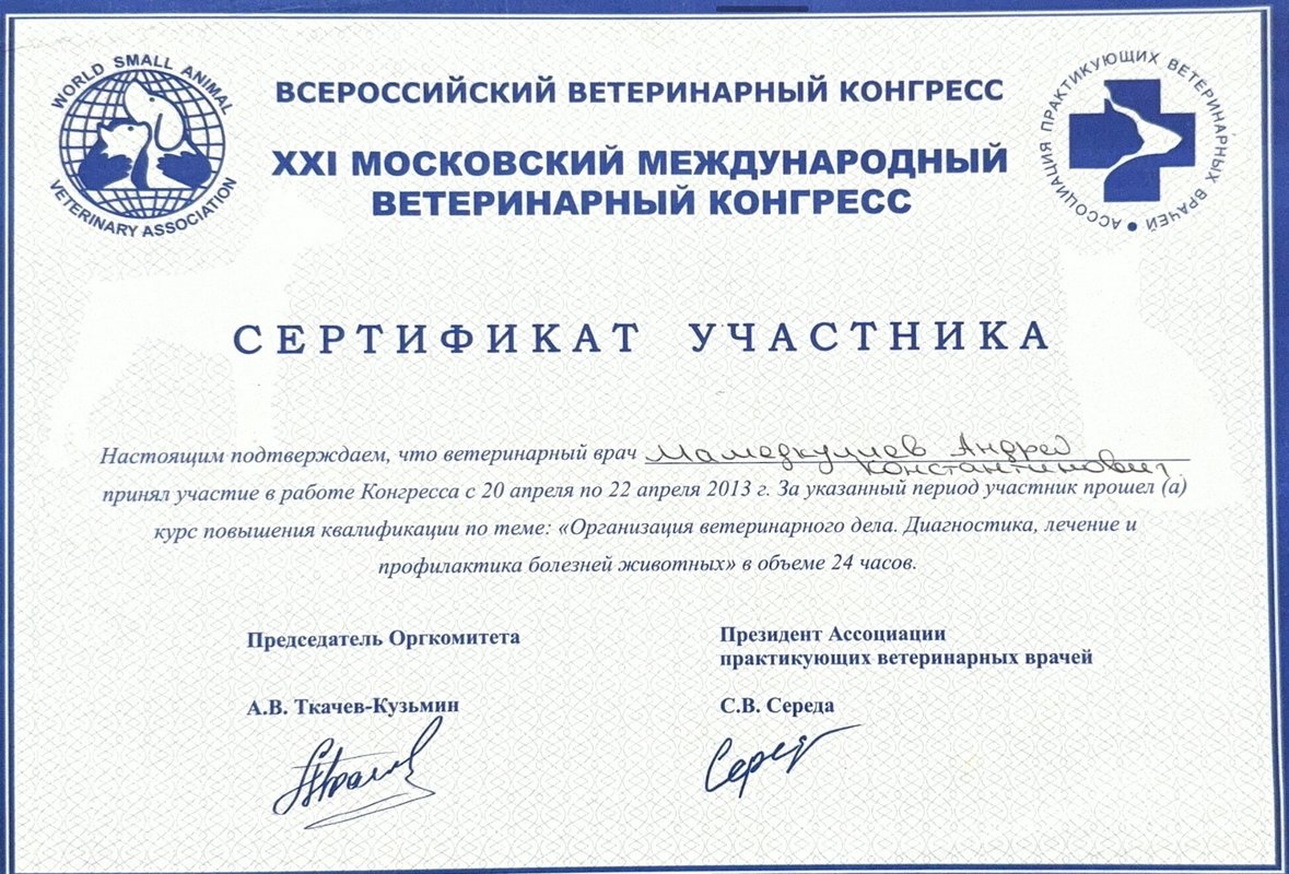 Документ или сертификат