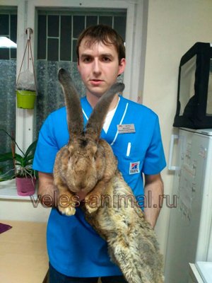Фото врача Давыдов Евгений Владимирович