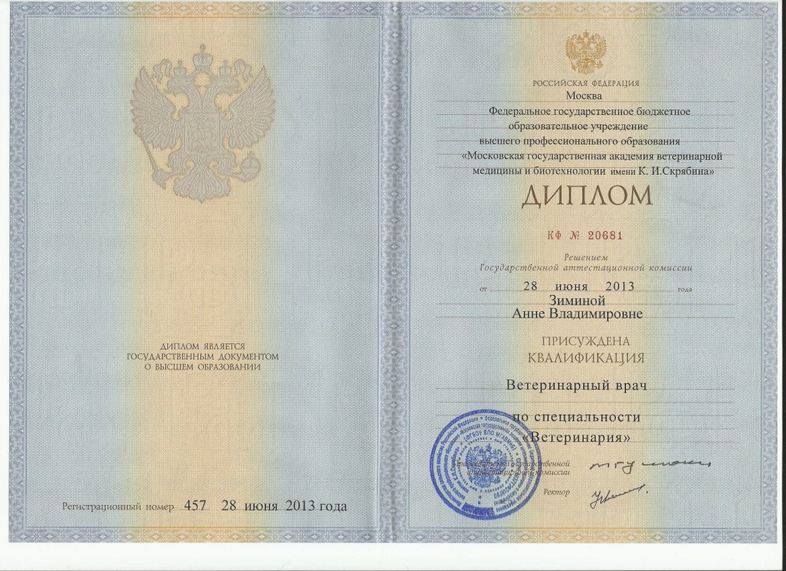 Документ или сертификат