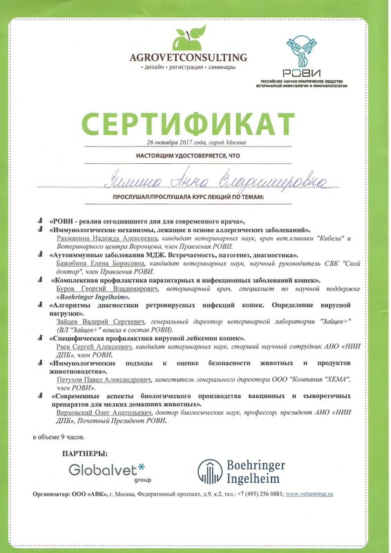 Документ или сертификат