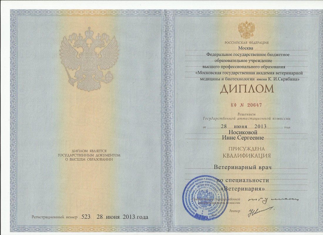 Документ или сертификат