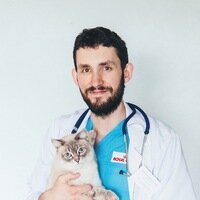 Фото врача Соколов Дмитрий Валентинович