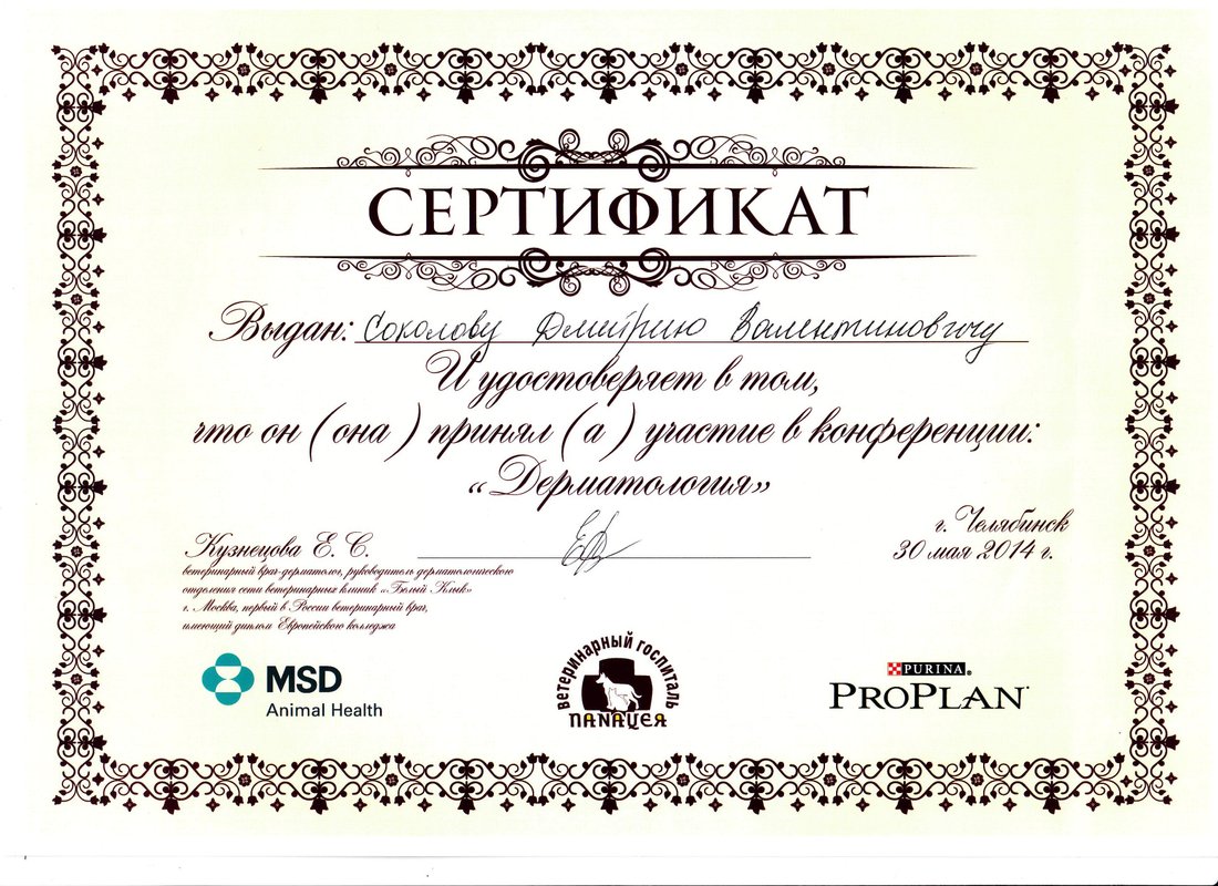 Документ или сертификат