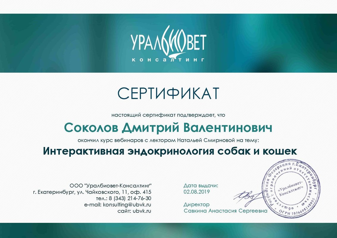 Документ или сертификат