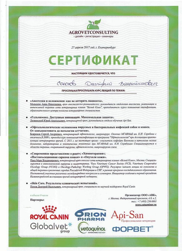 Документ или сертификат