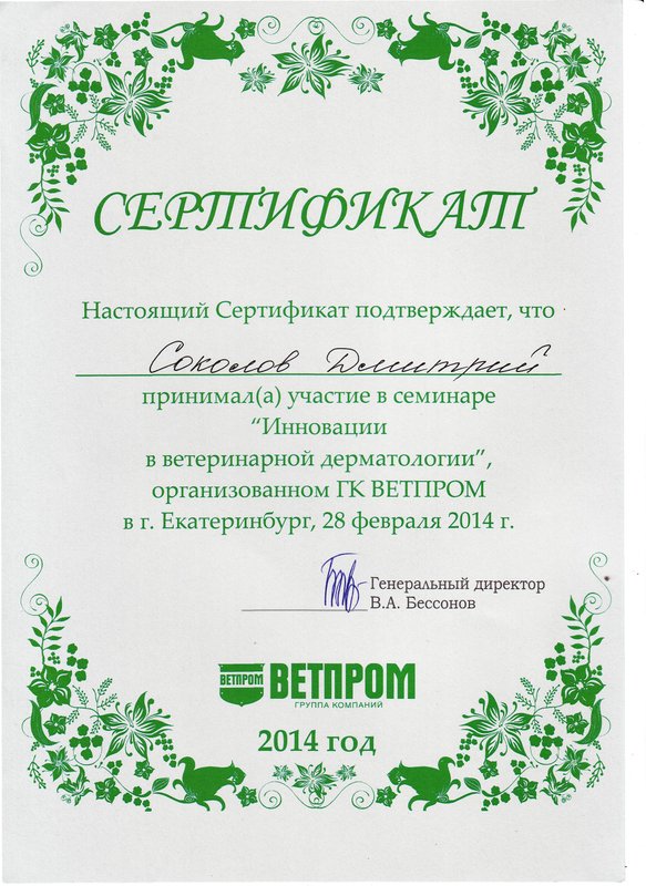 Документ или сертификат