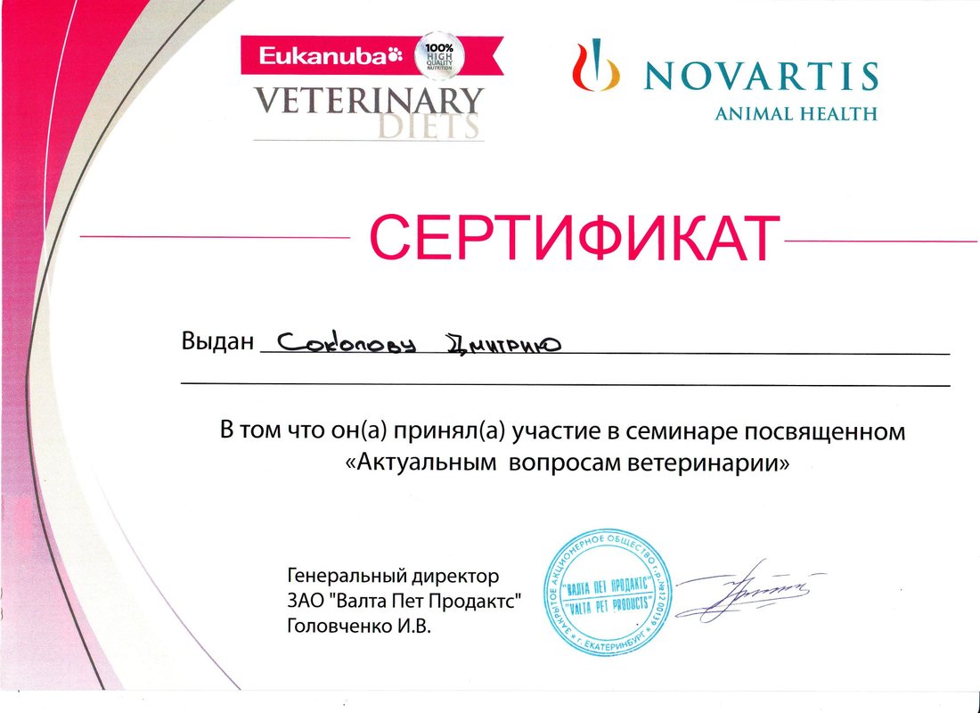 Документ или сертификат