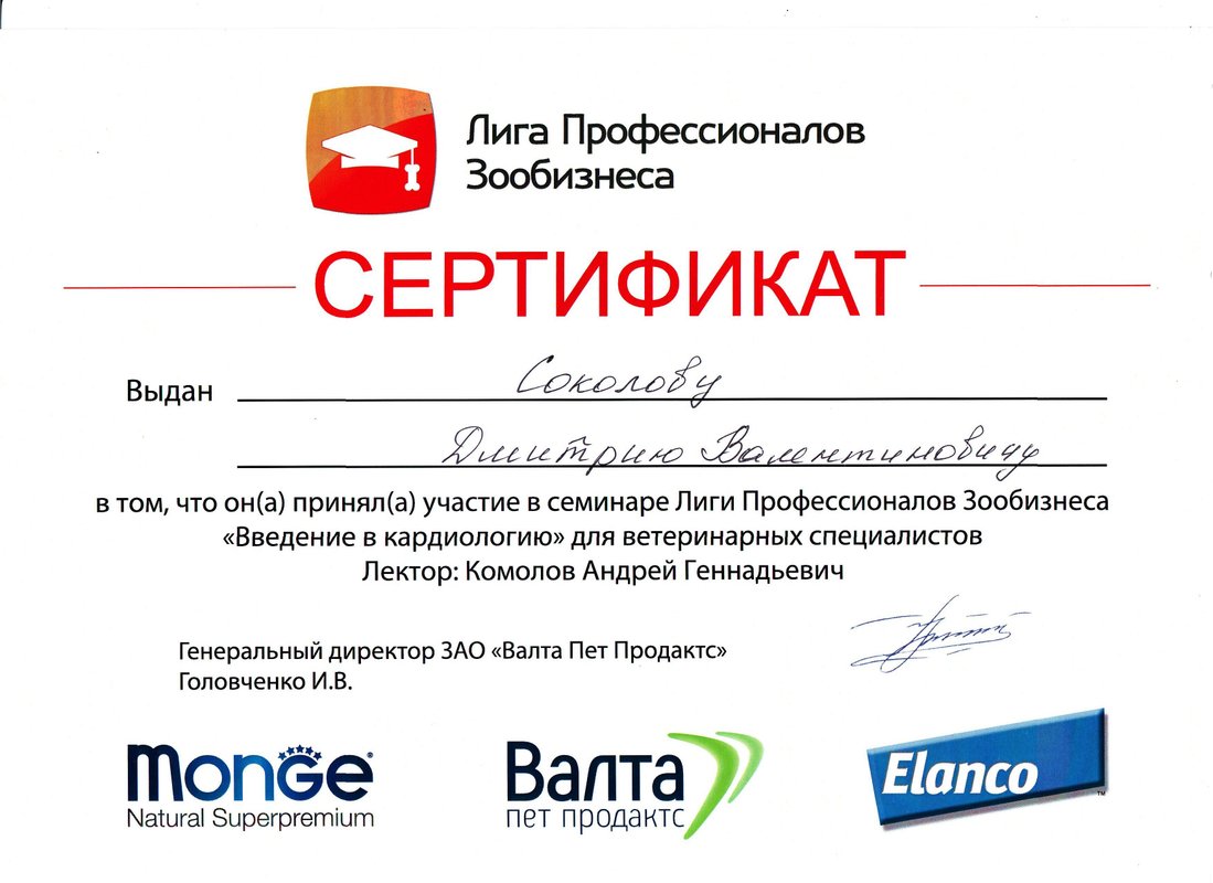 Документ или сертификат