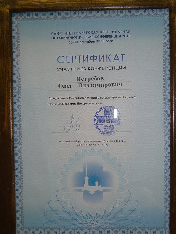 Документ или сертификат
