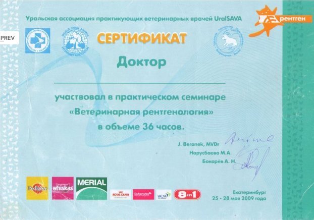 Документ или сертификат