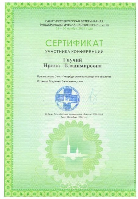 Документ или сертификат