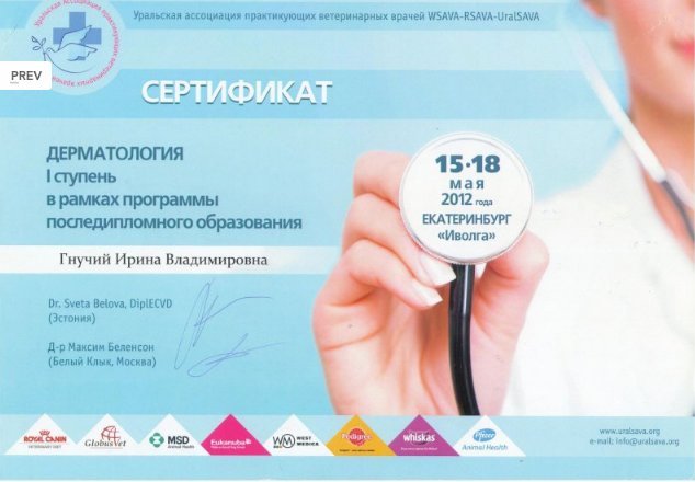 Документ или сертификат