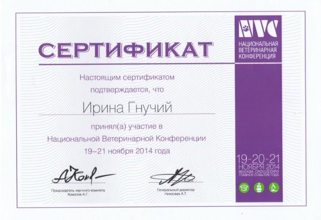 Документ или сертификат