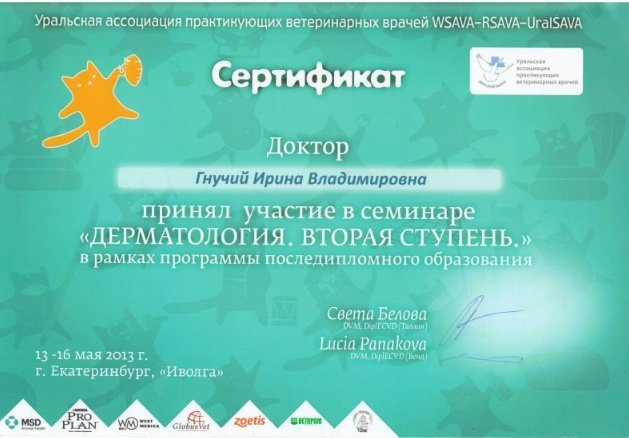 Документ или сертификат