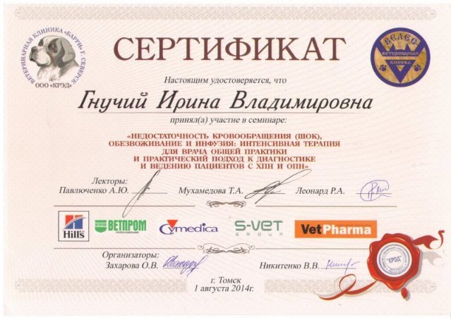 Документ или сертификат