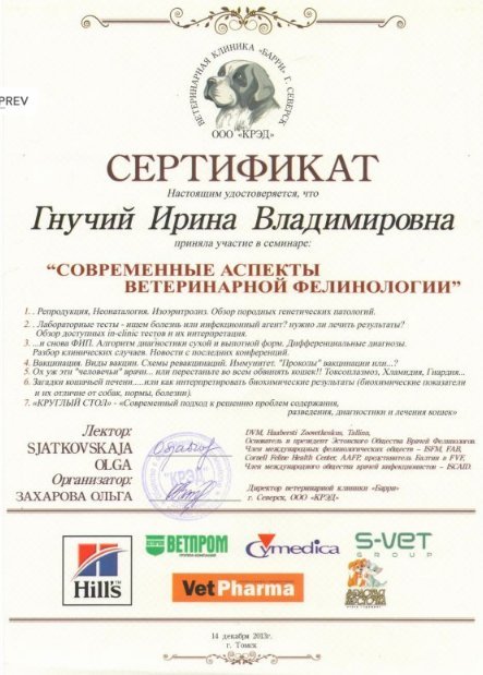 Документ или сертификат