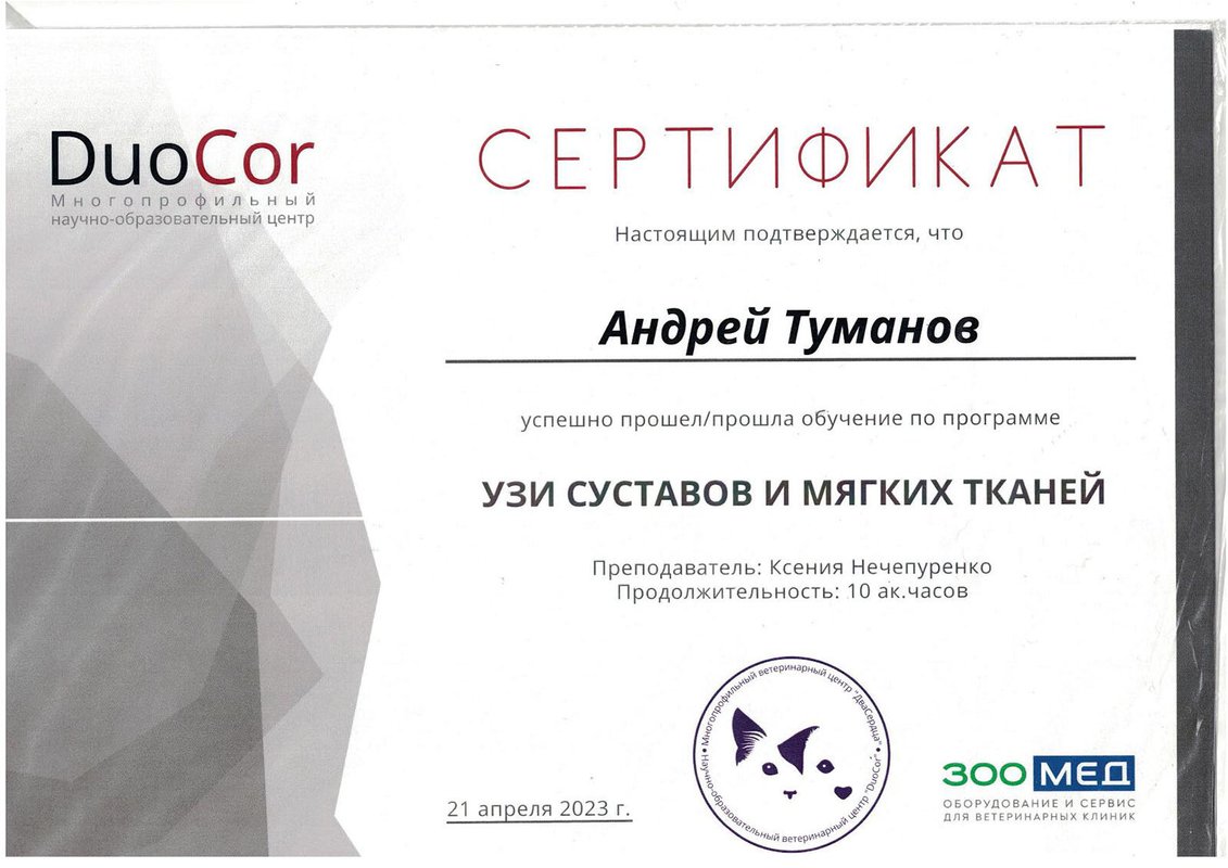 Документ или сертификат