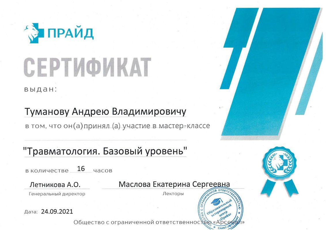 Документ или сертификат
