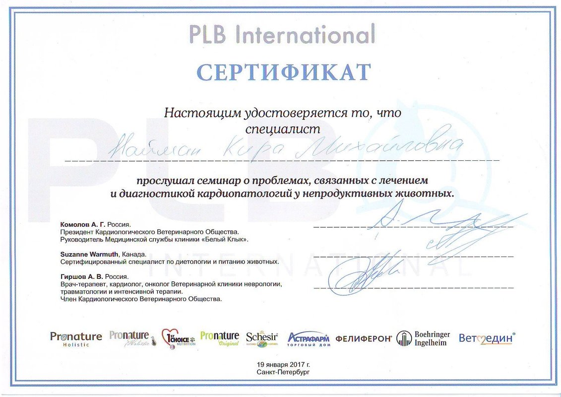 Документ или сертификат