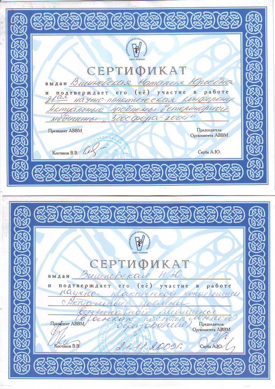 Документ или сертификат