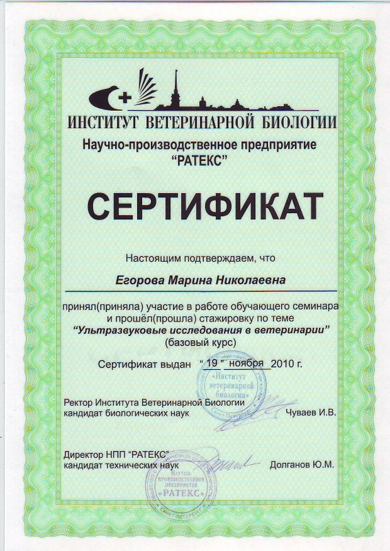 Документ или сертификат