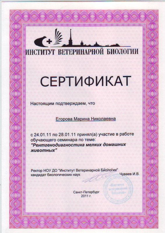 Документ или сертификат