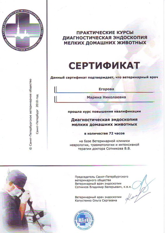 Документ или сертификат