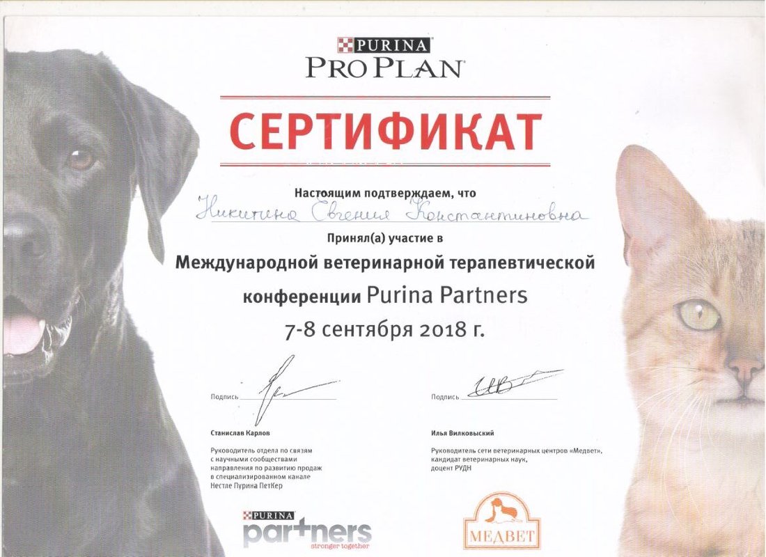 Документ или сертификат