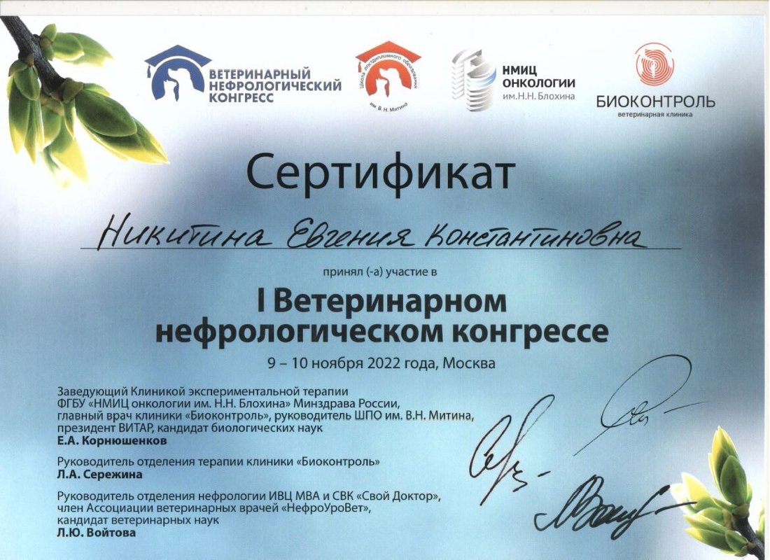 Документ или сертификат