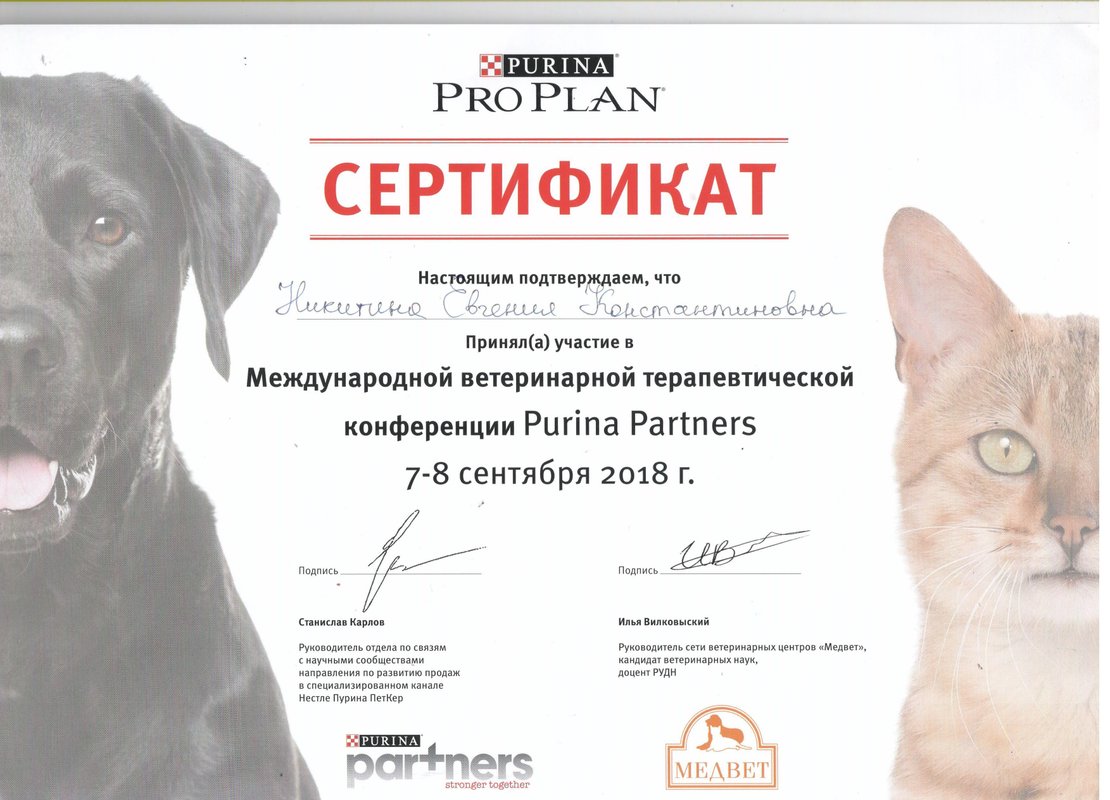 Документ или сертификат