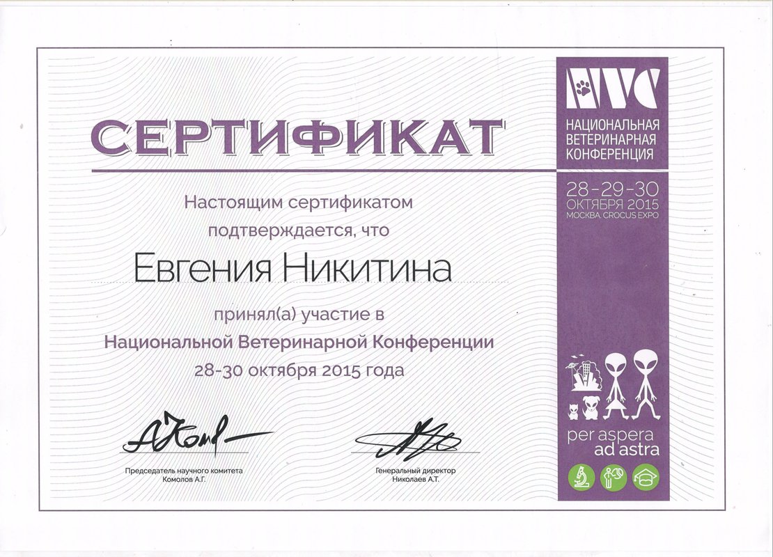 Документ или сертификат