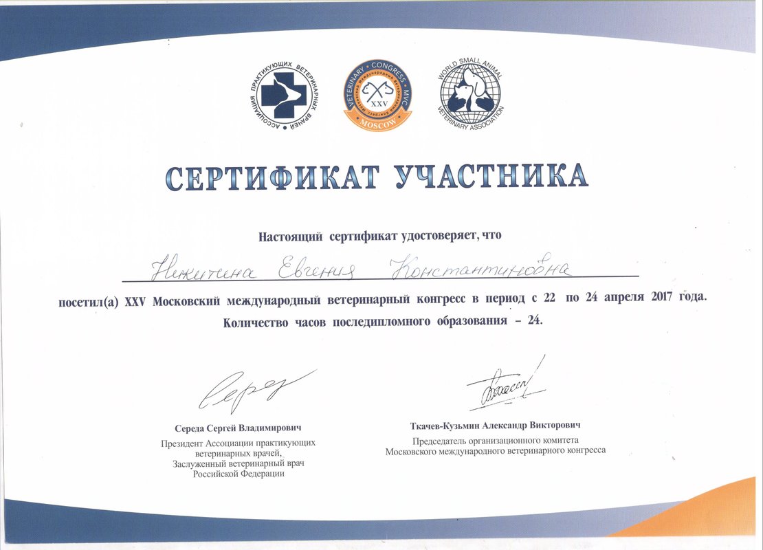 Документ или сертификат