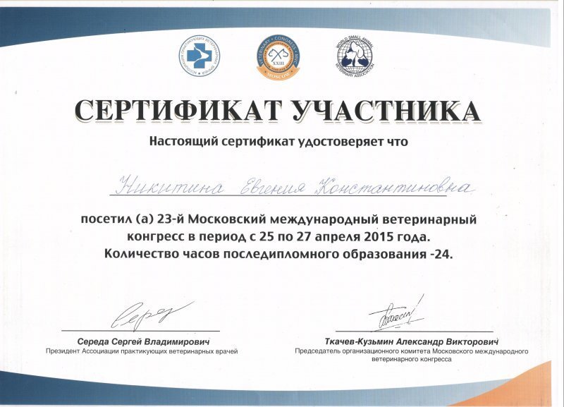 Документ или сертификат