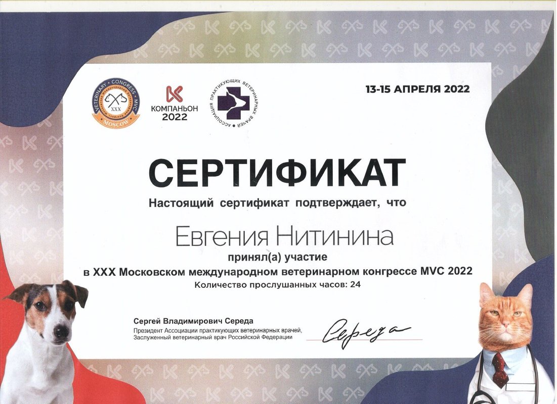 Документ или сертификат