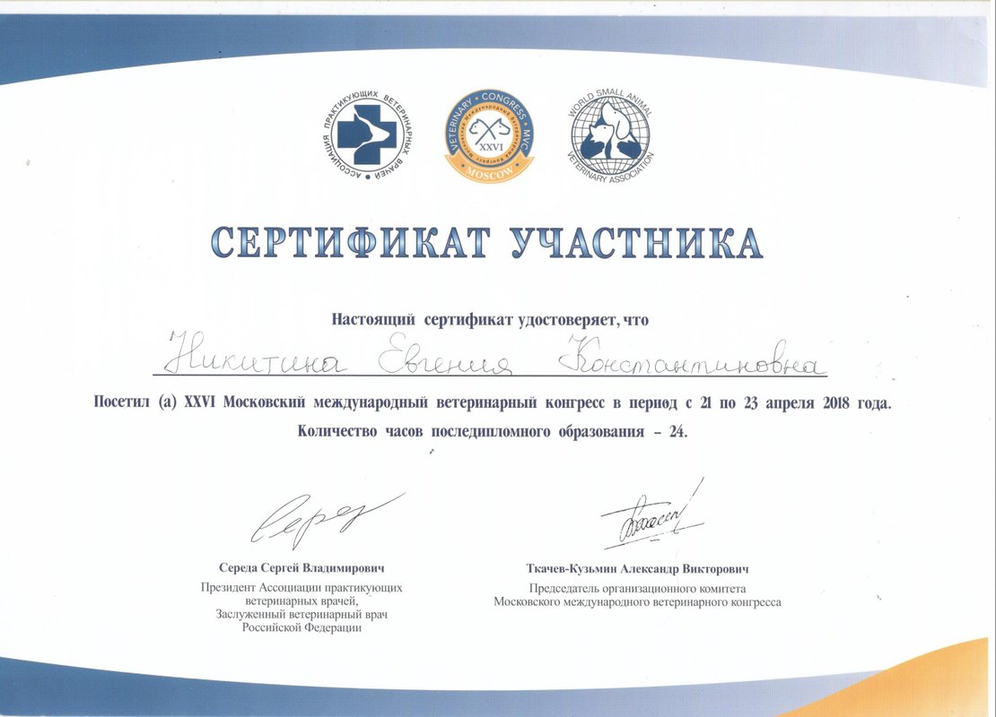 Документ или сертификат