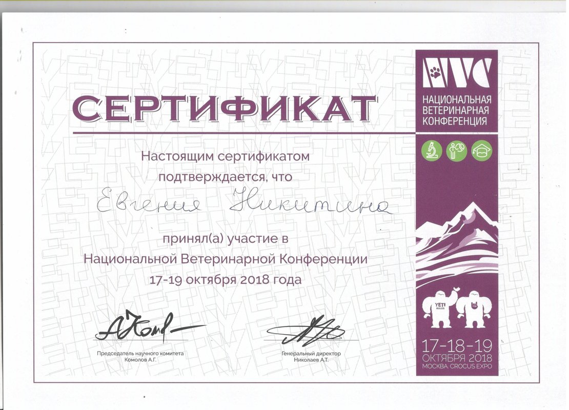Документ или сертификат